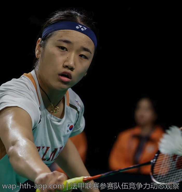 法甲联赛参赛队伍竞争力动态观察